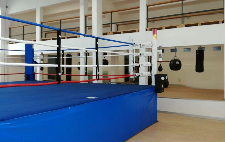 Rehabilitación de Áreas deportivo Agustín Millán